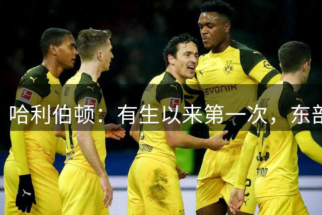 哈利伯顿：有生以来第一次，东部比西部更有趣，六队都有机会