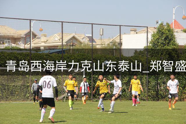 青岛西海岸力克山东泰山 郑智盛赞门将李昊表现神勇